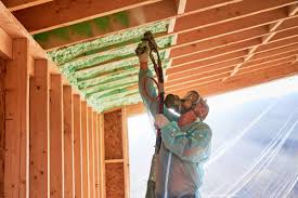 Best Radiant Barrier Insulation  in Unadilla, GA